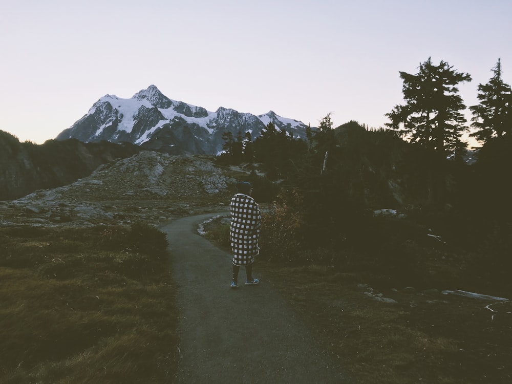 person standing on walkway near mountains