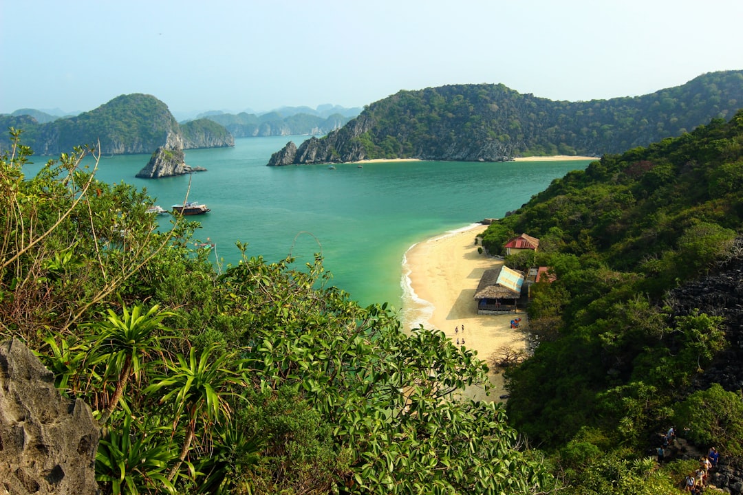 Nature reserve photo spot Ha Long Bay Vietnam