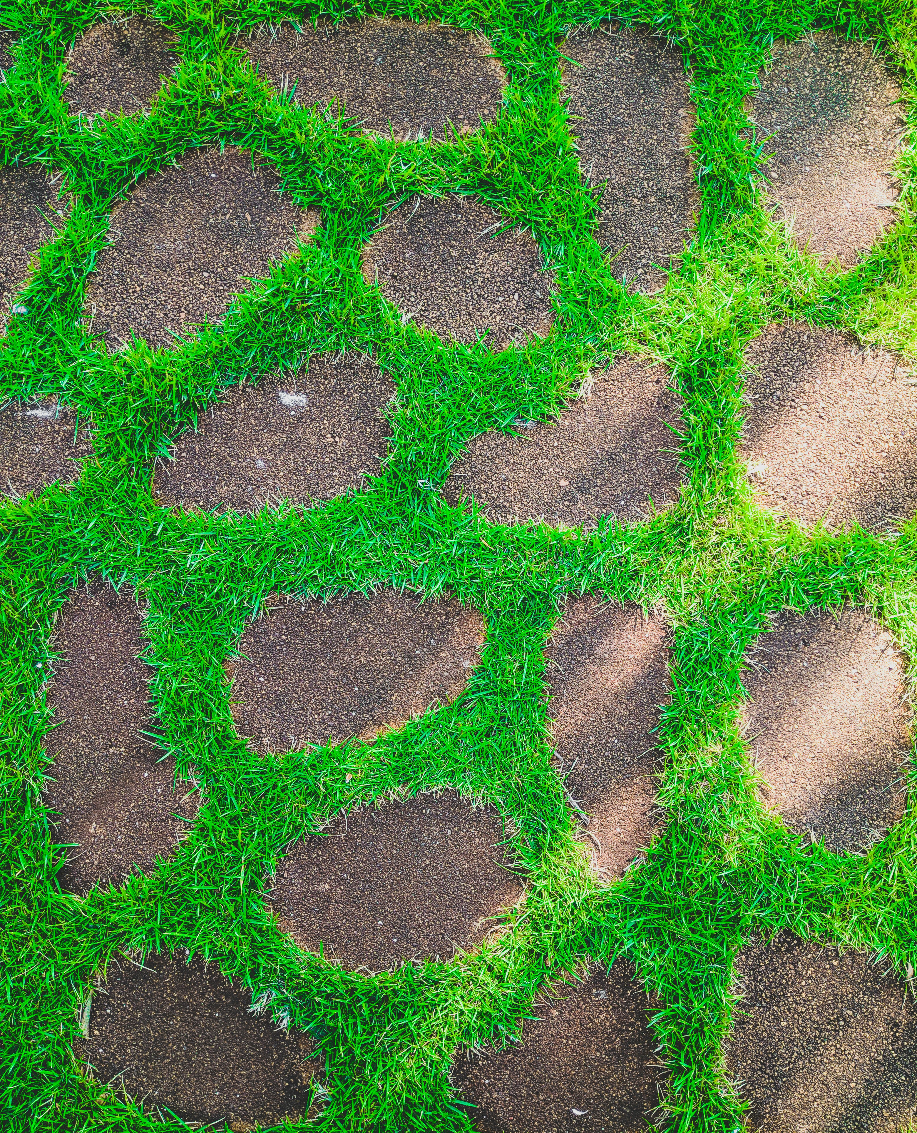 500 green grass pictures download free images on unsplash 500 green grass pictures download