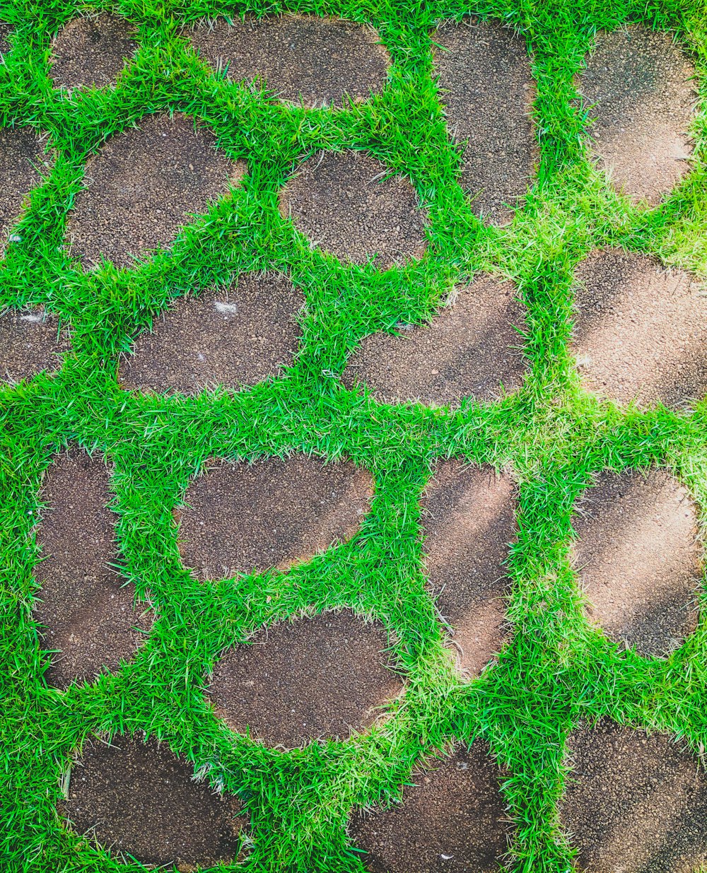 high angle photography of grass field