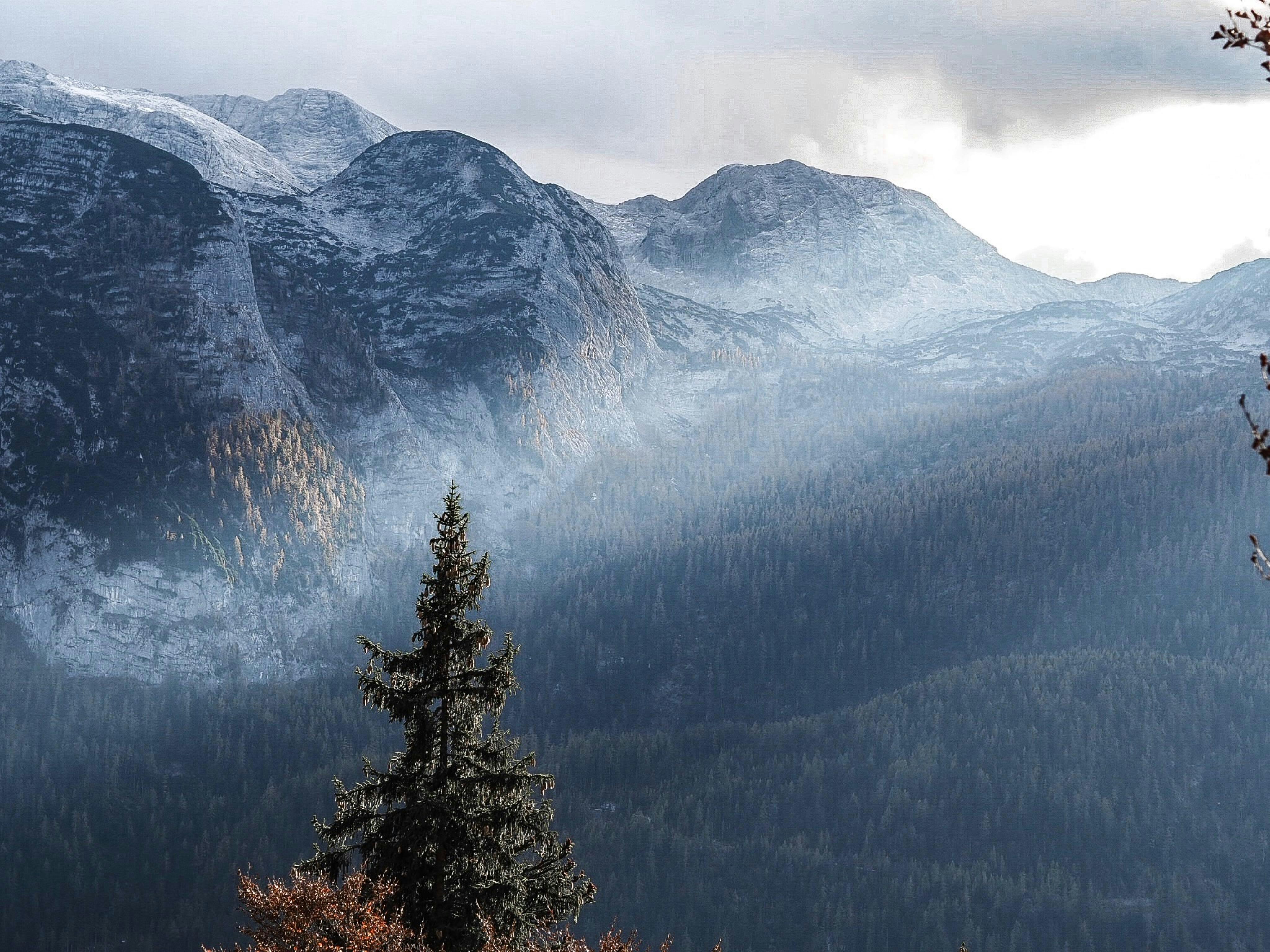 Photo by laurachouette