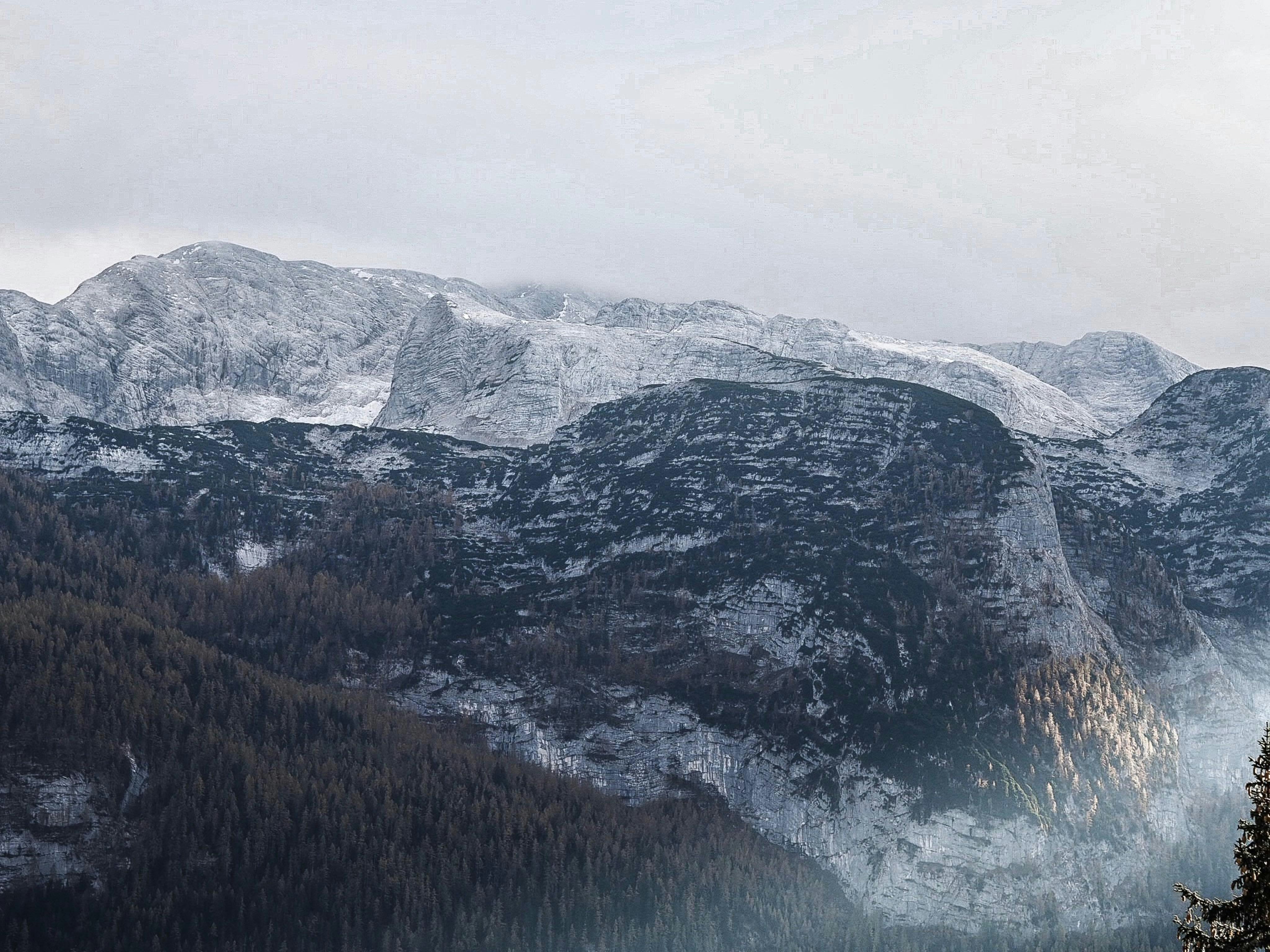 Photo by laurachouette