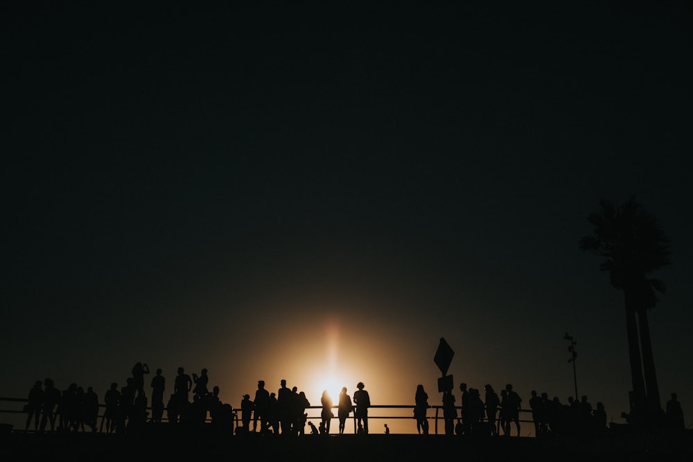 silhouette of people