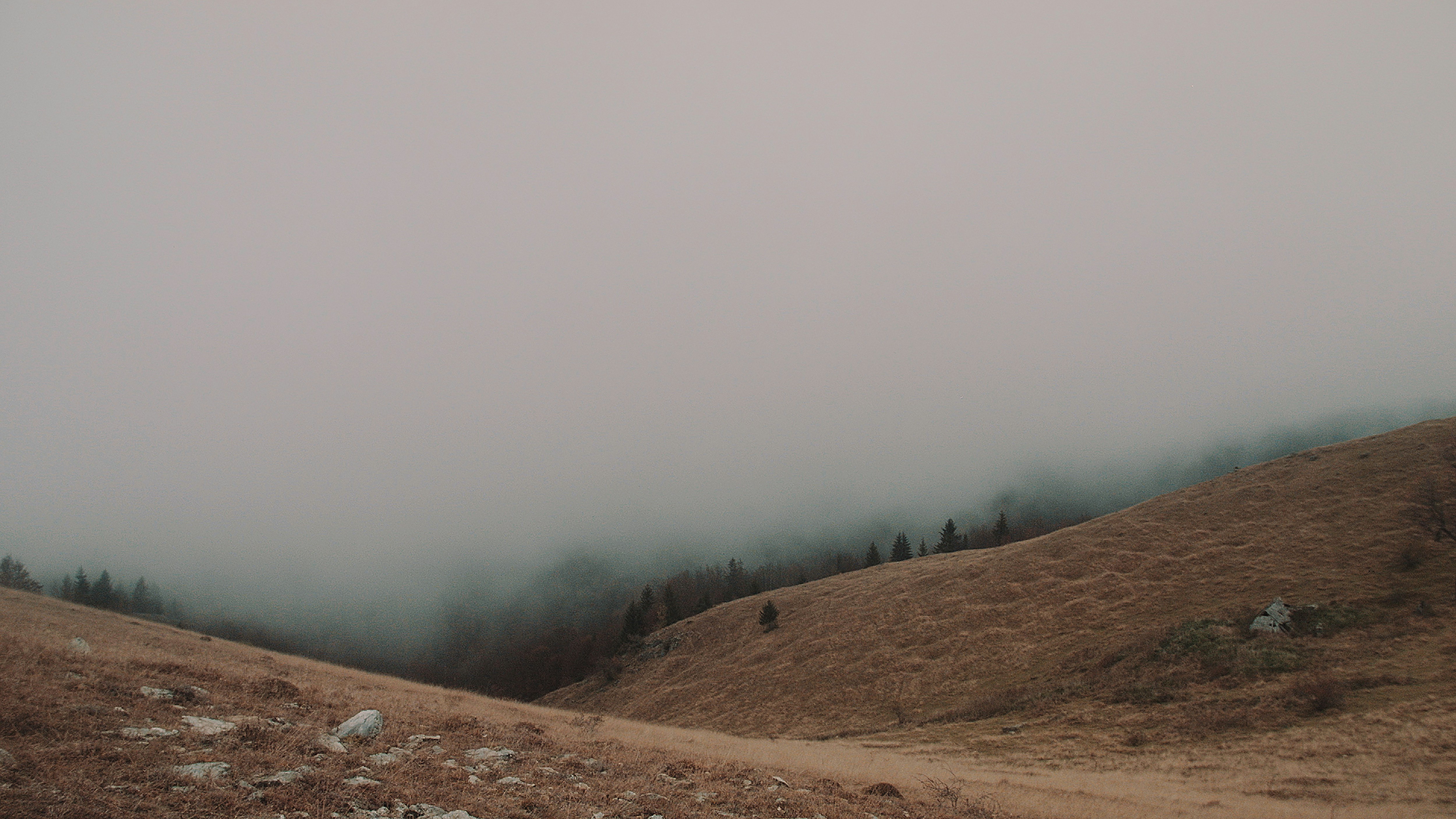 Photo by vladmarisescu