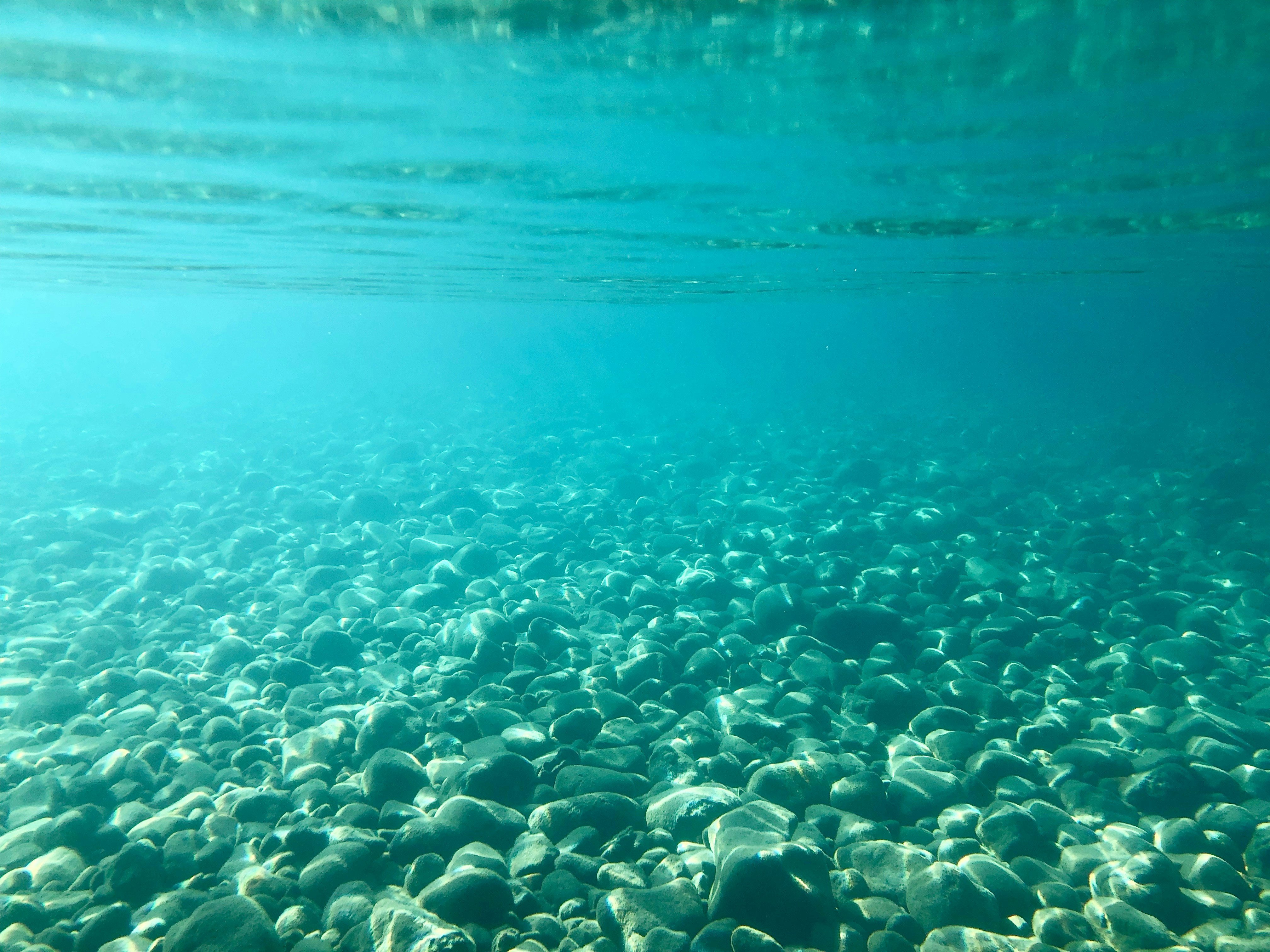 花湖快讯，展现生态魅力与城市活力