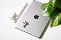 A silver iPad with the Apple logo is placed on a white surface alongside an Apple Pencil, AirPods, and a plant leaf slightly covering part of the scene. The arrangement of these Apple products suggests a minimalist and sleek layout.