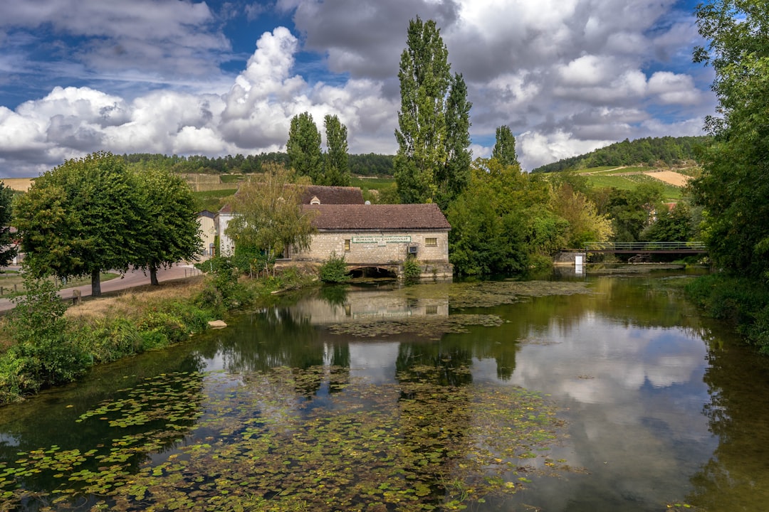 photo of Vermenton River near Vézelay Abbey