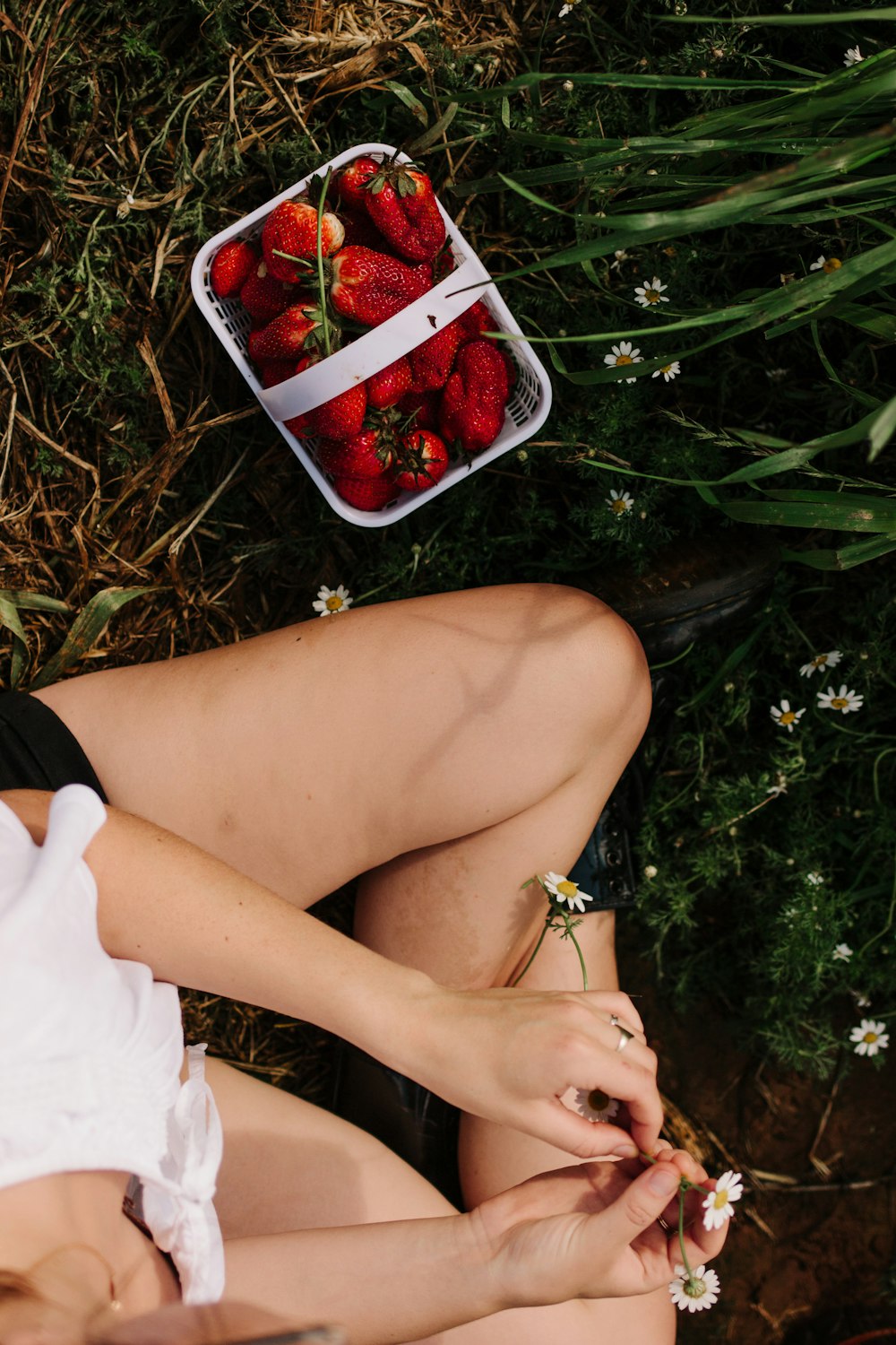 flay lay photography of woman sitting on ground beside basket of strawberries