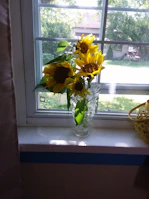 Warm sunlight illuminating a handmade orange ceramic vase on a windowsill.