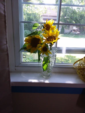 Warm sunlight illuminating a handmade orange ceramic vase on a windowsill.