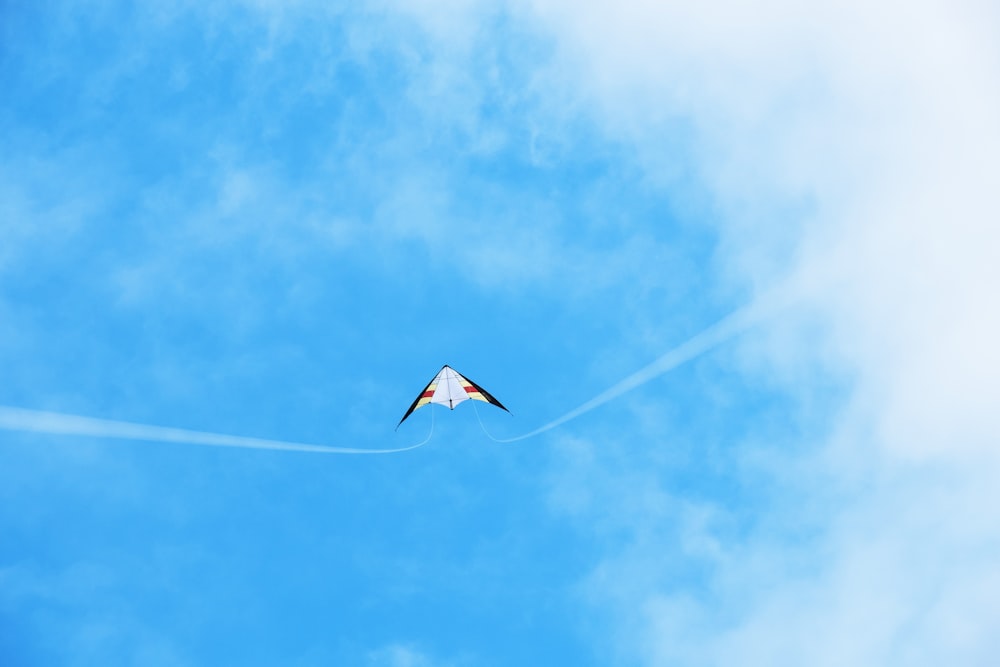 white and black kite