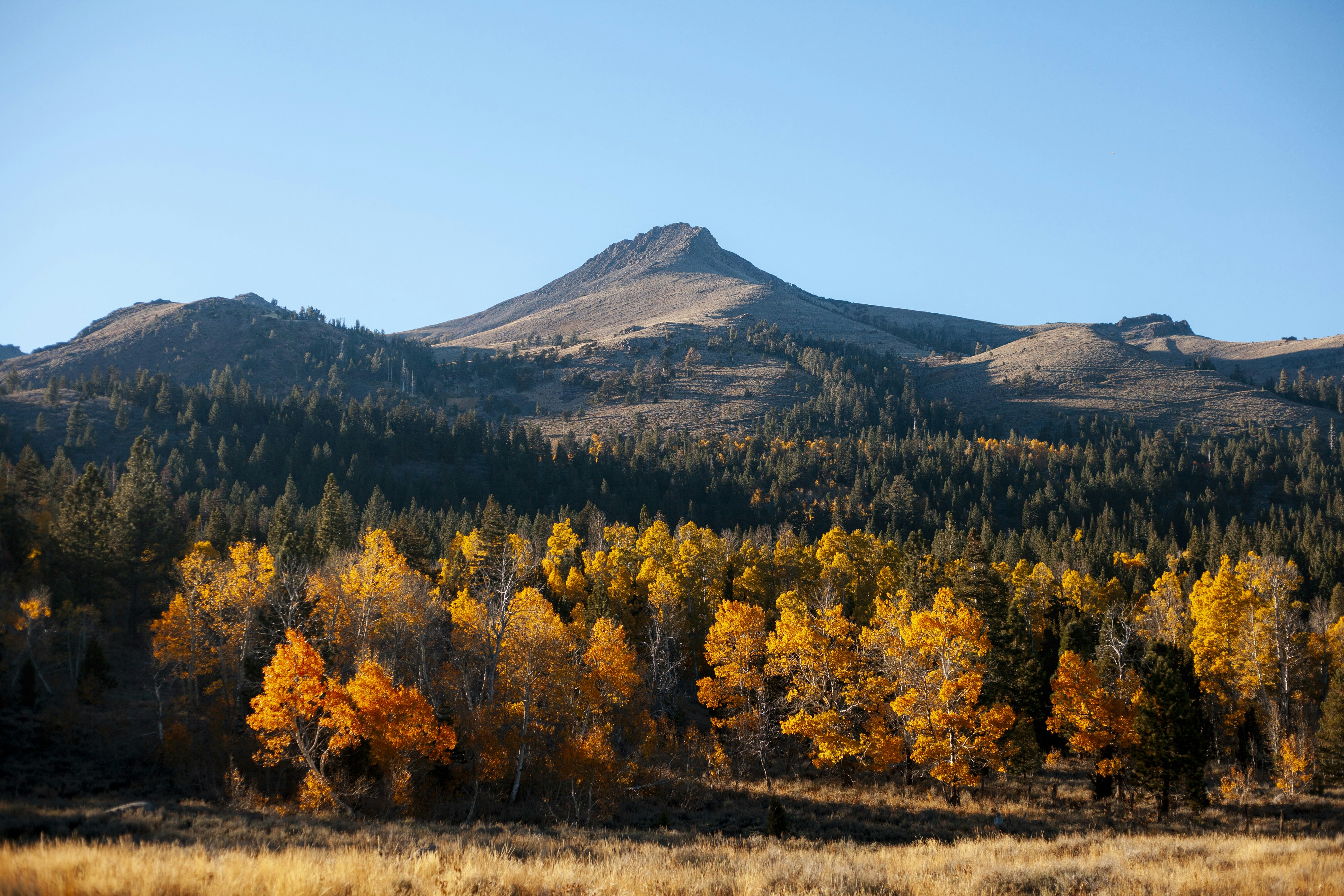 Photo by spencerbackman