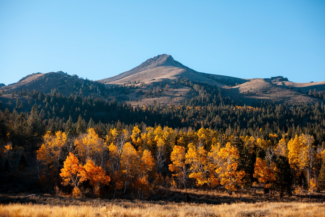 Mountain range photo spot Hope Valley Truckee