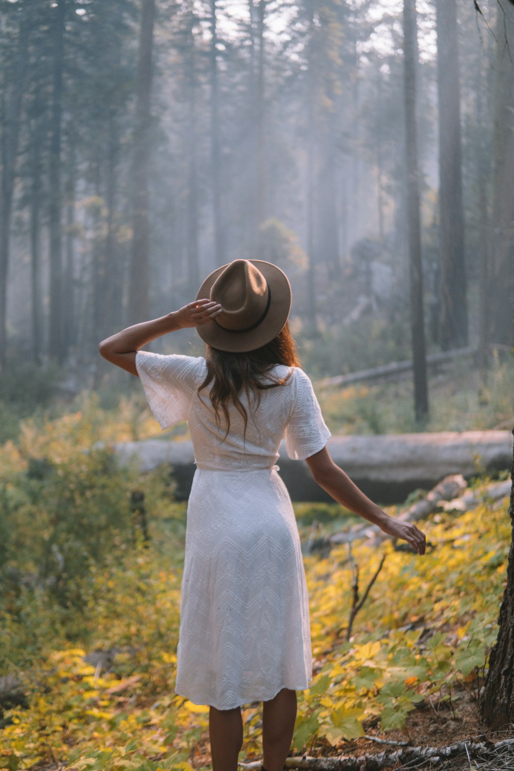 femme en robe blanche à manches courtes regardant les arbres