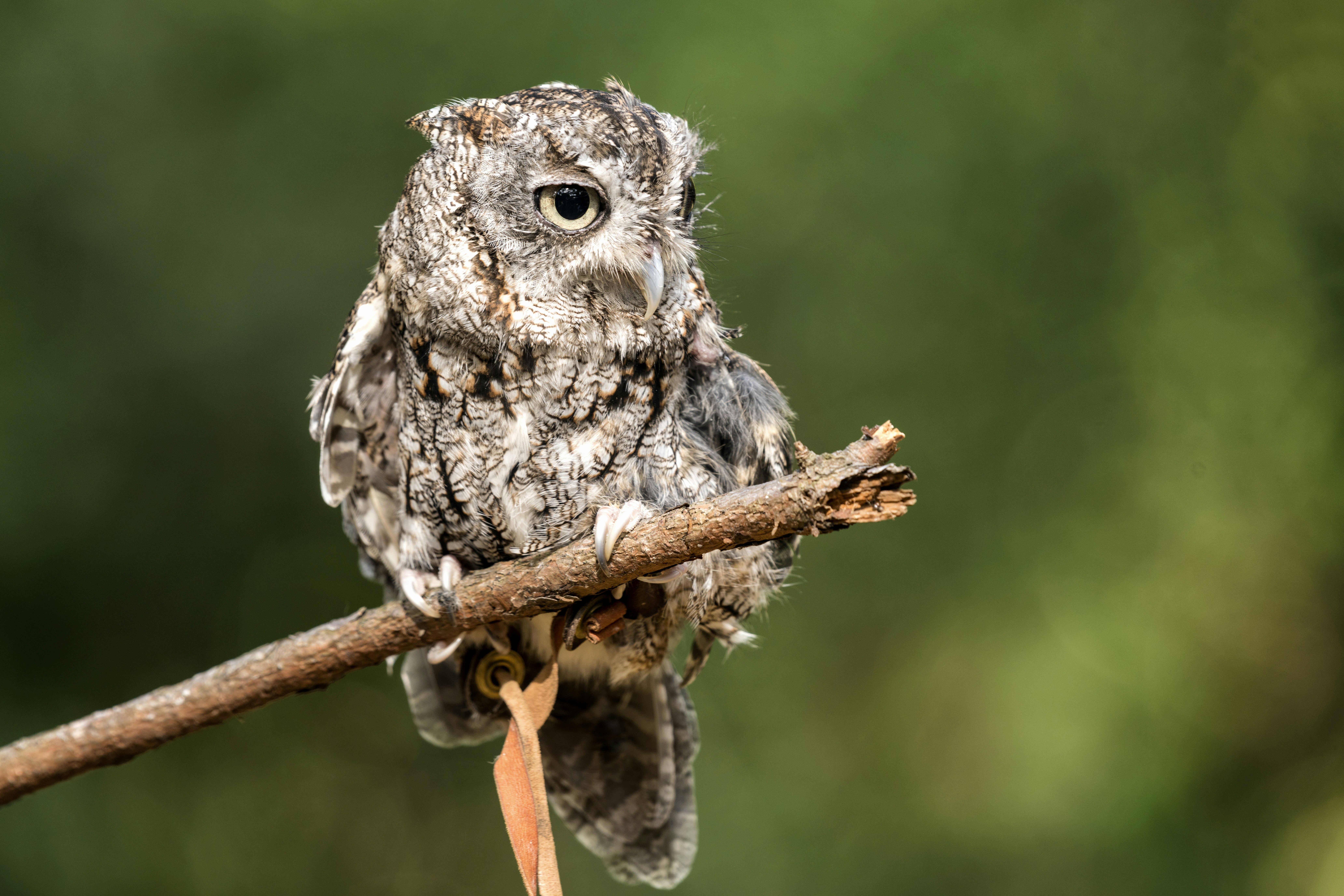 Photo by karen_with_a_camera