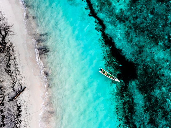 Insider's Guide to Timor-Leste: Explore the Untouched Beauty