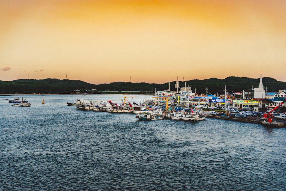 boat lot beside dockside