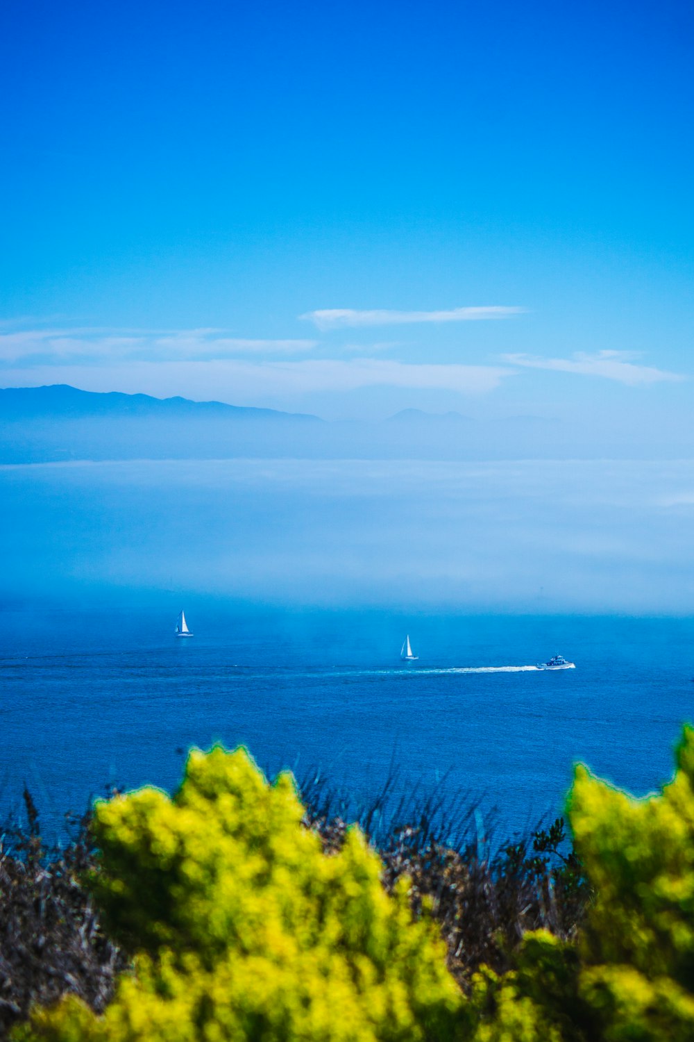 aerial photography of boat on sea