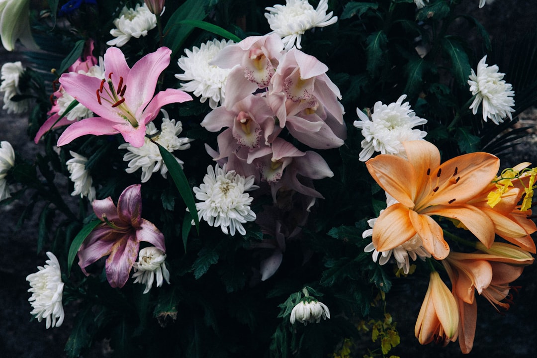 assorted color petaled flowers during daytime