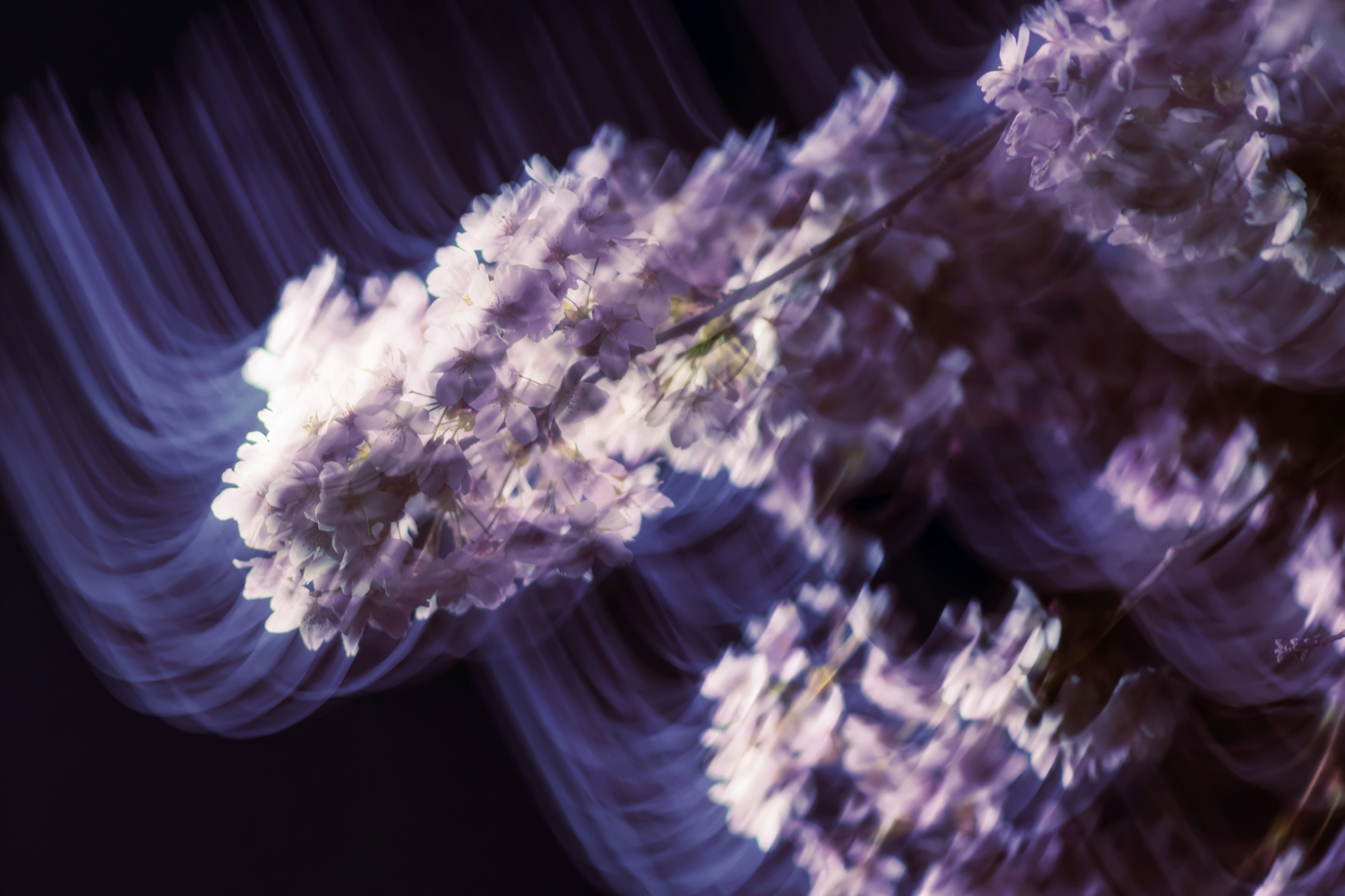 Photo by kryptobanana