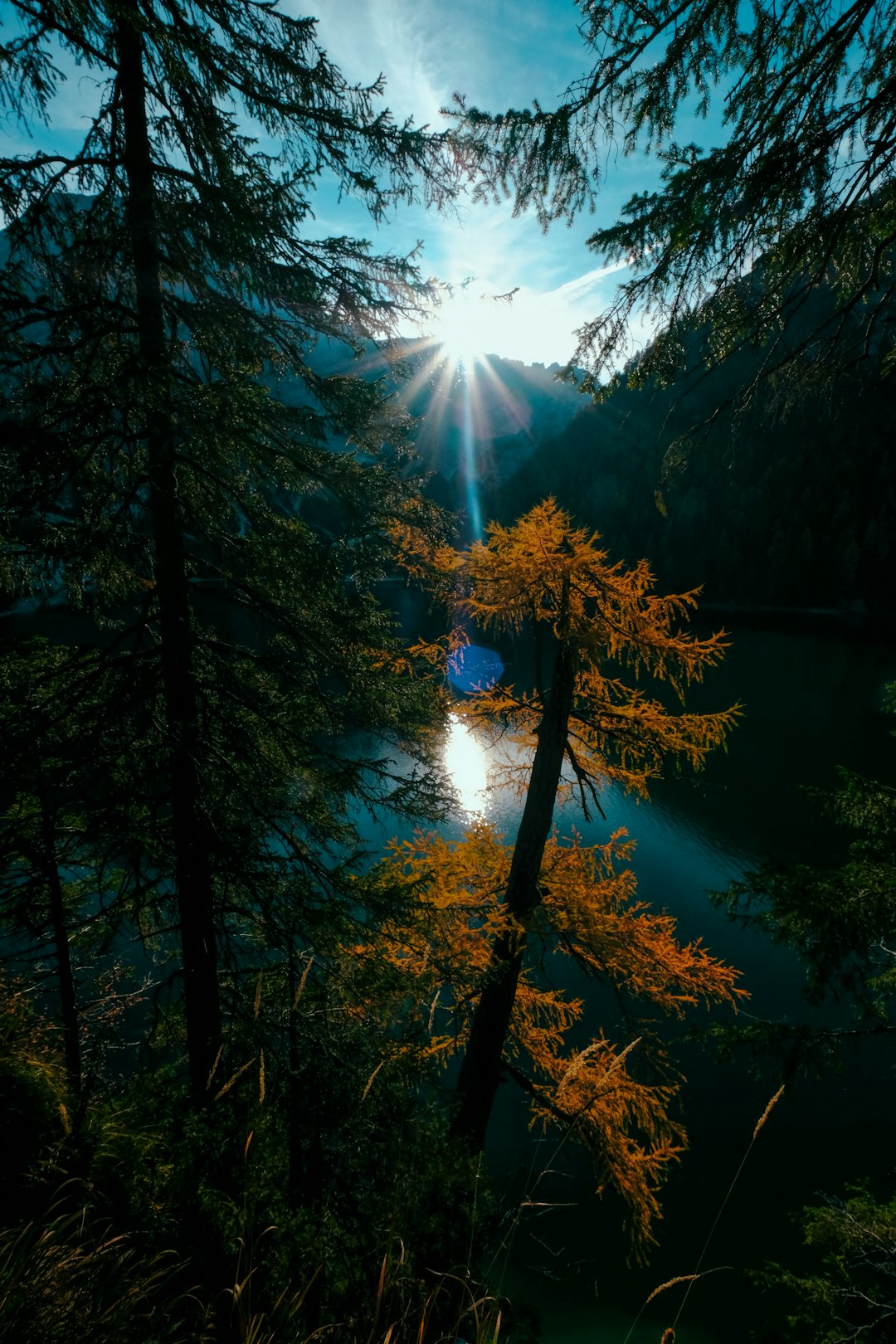 Forest photo spot Lago di Braies San Martino di Castrozza