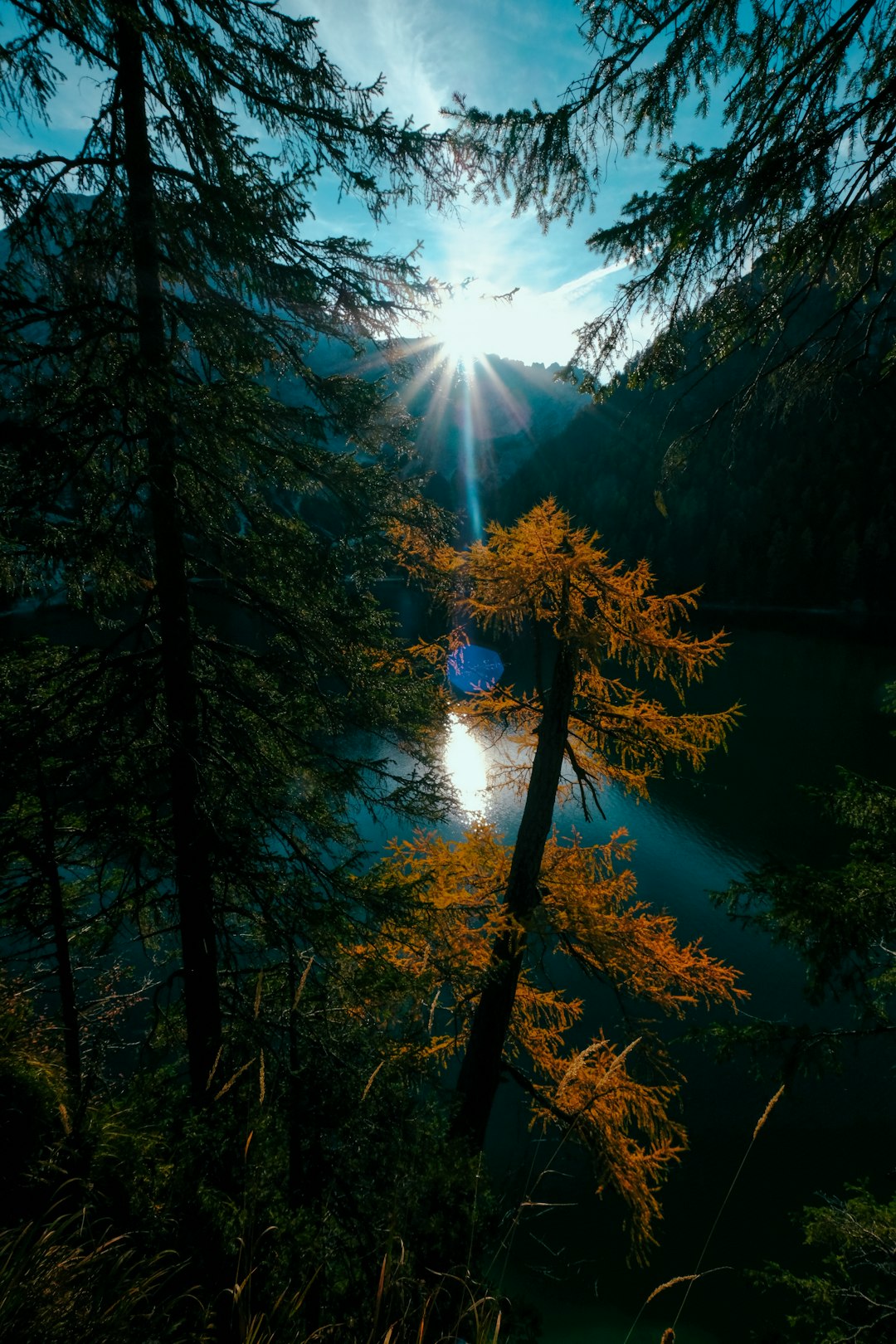 Forest photo spot Lago di Braies Bolzano
