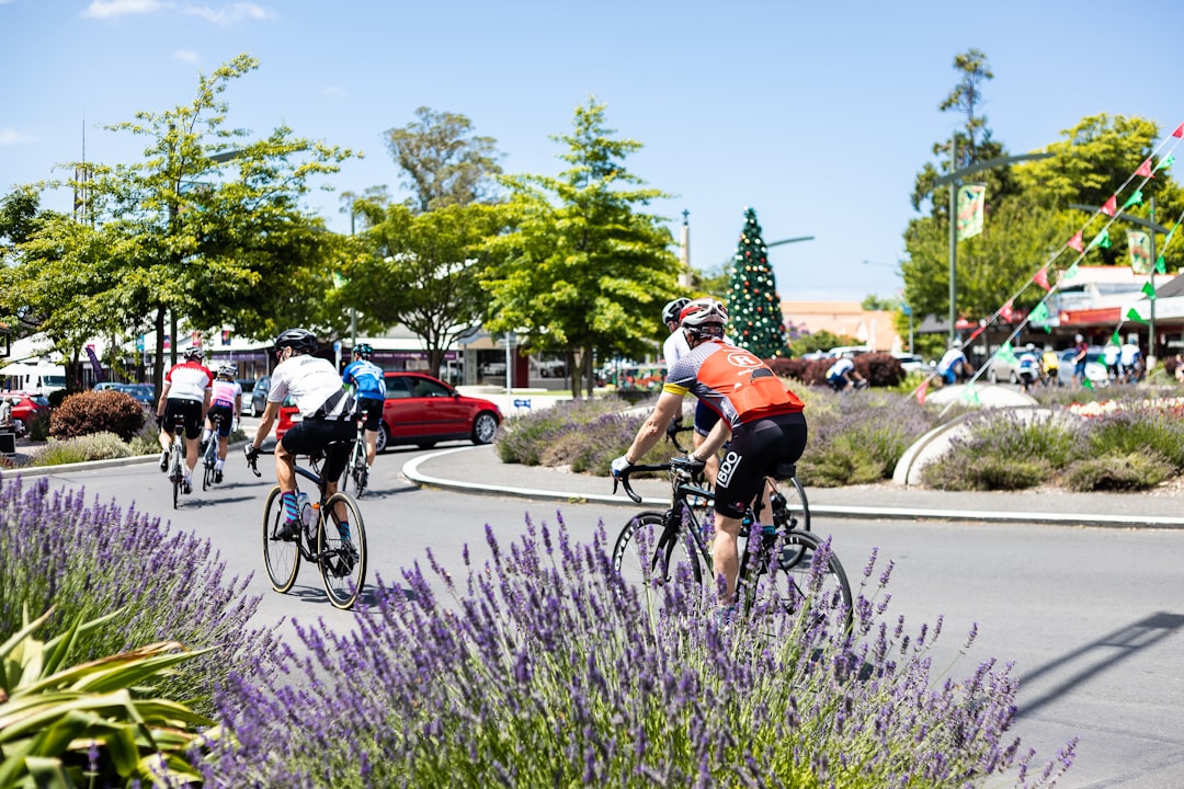 people biking on road