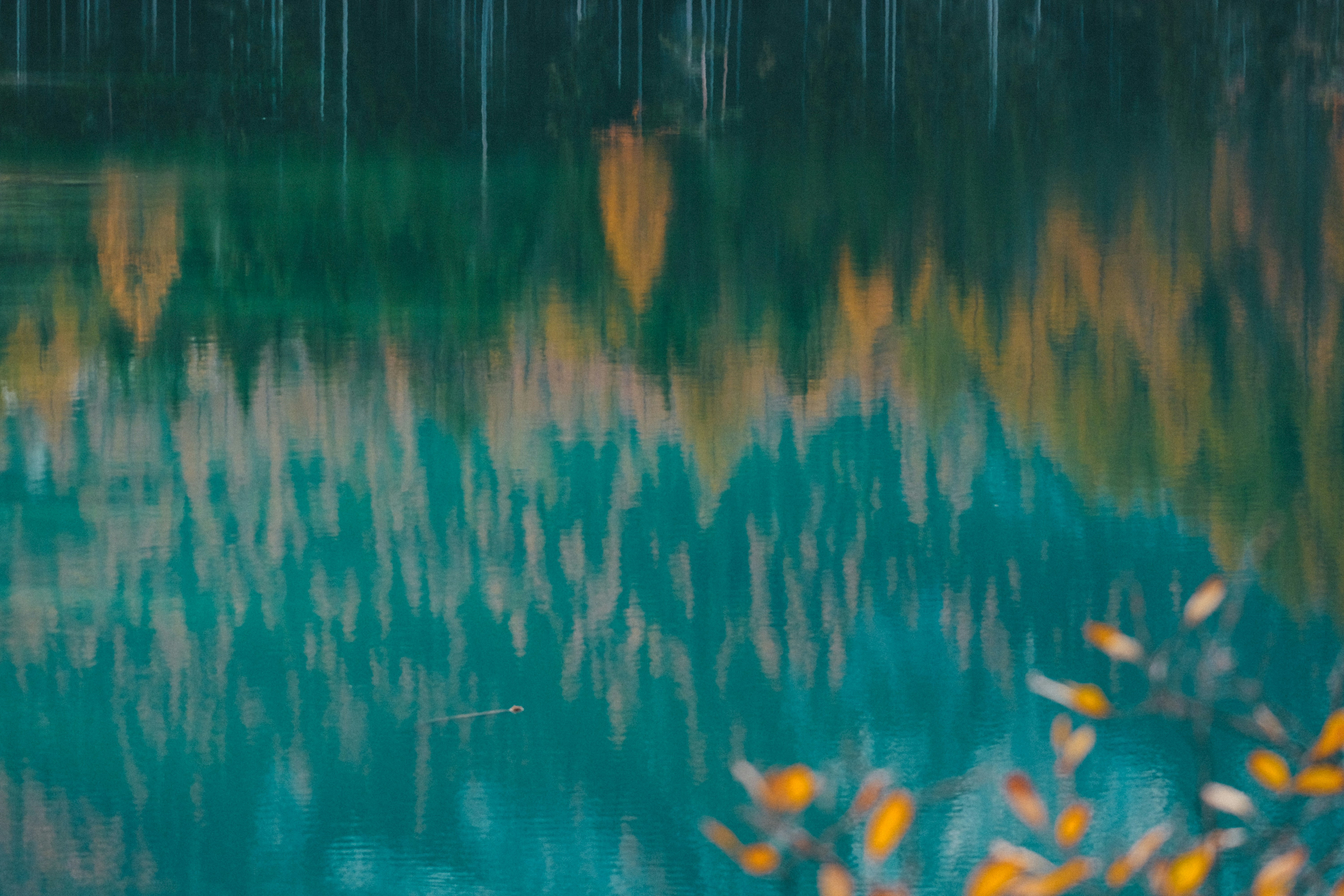 Photo by francesco_ungaro