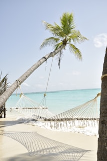 A tropical beach scene featuring a gently leaning palm tree with a lush canopy overlooking a hammock suspended between the tree and another point. The hammock casts a shadow on the soft sand below. In the background, clear turquoise ocean waters stretch to the horizon under a light blue sky with a few scattered clouds.