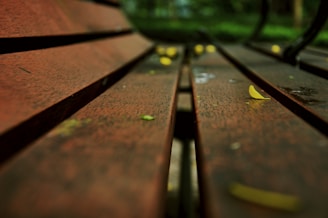 Outdoor wooden bench sanded and freshly varnished, ready for use