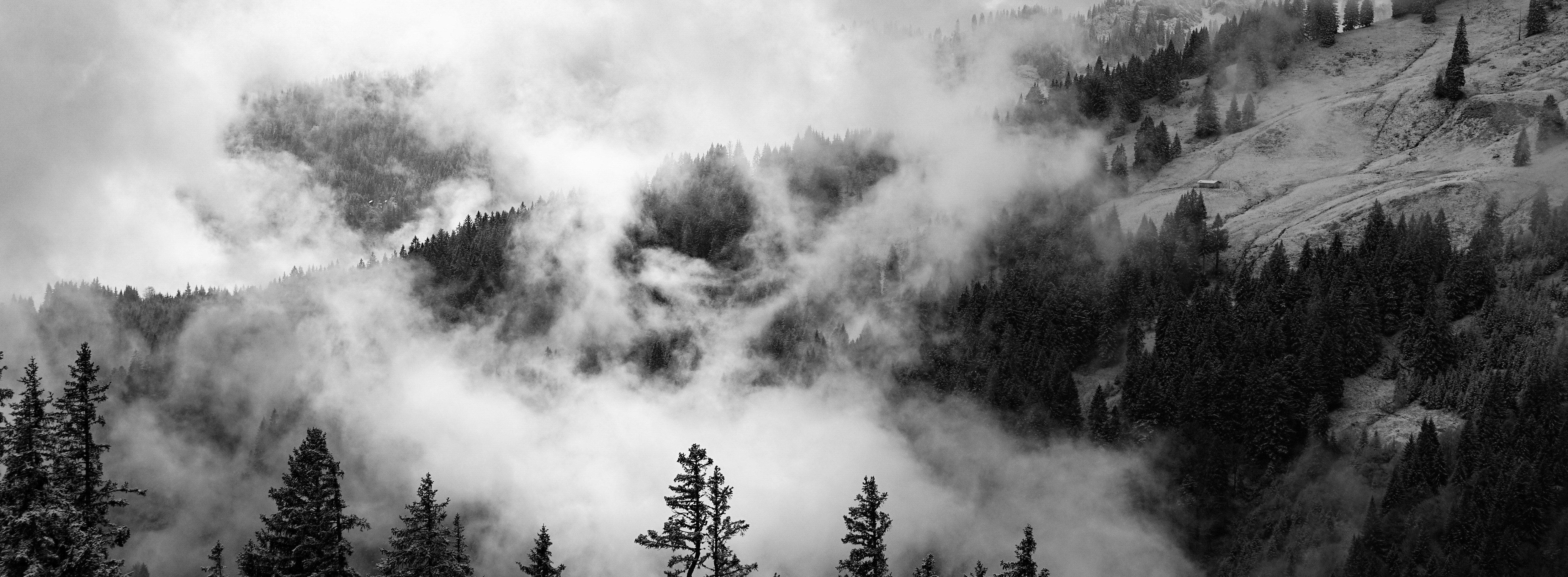 Photo by bruno_kelzer