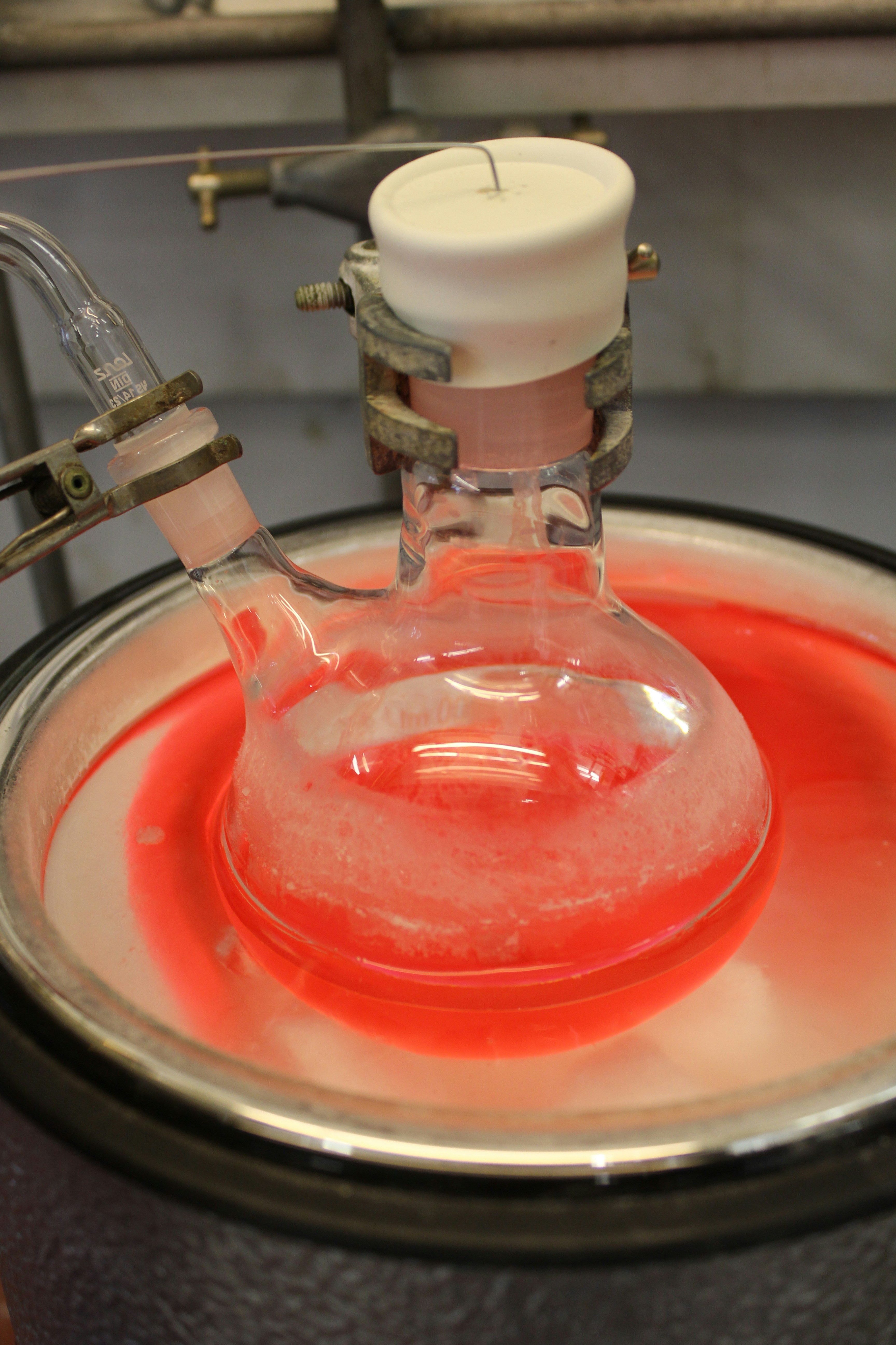 The Anabolic Response to Feeding Declines With Age: How to Fight Back