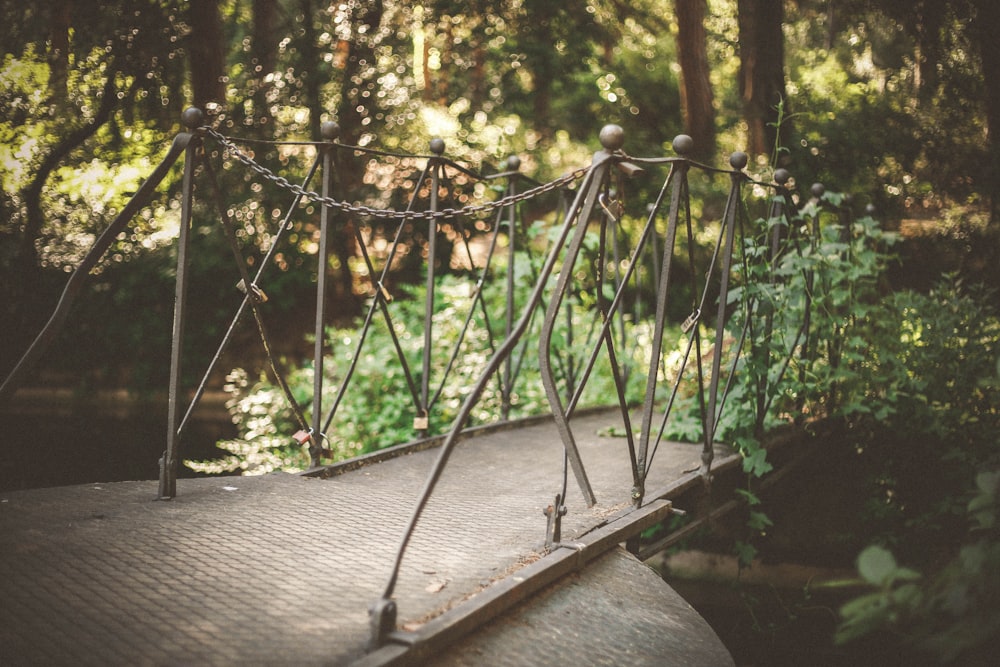 brown concrete bridge in forest