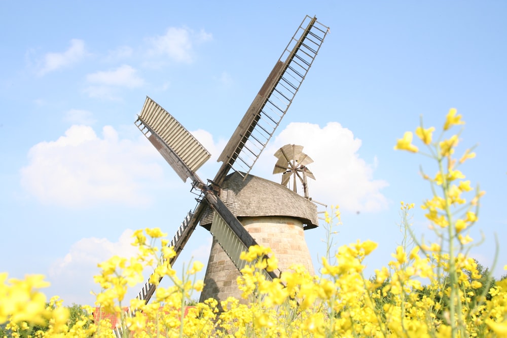 Molino de viento en campo de flores