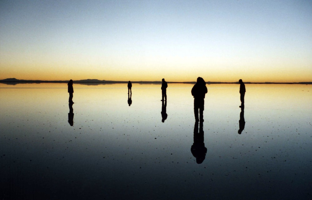 silhouette of five person standing