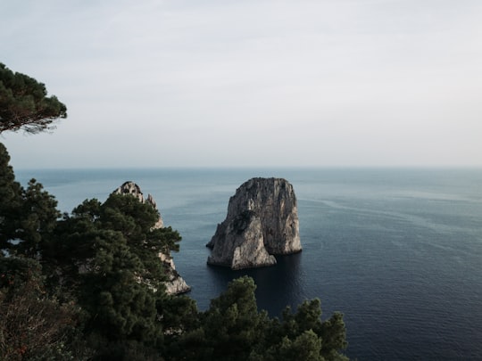 forest near rock formation on ocean in Belvedere Tragara Italy