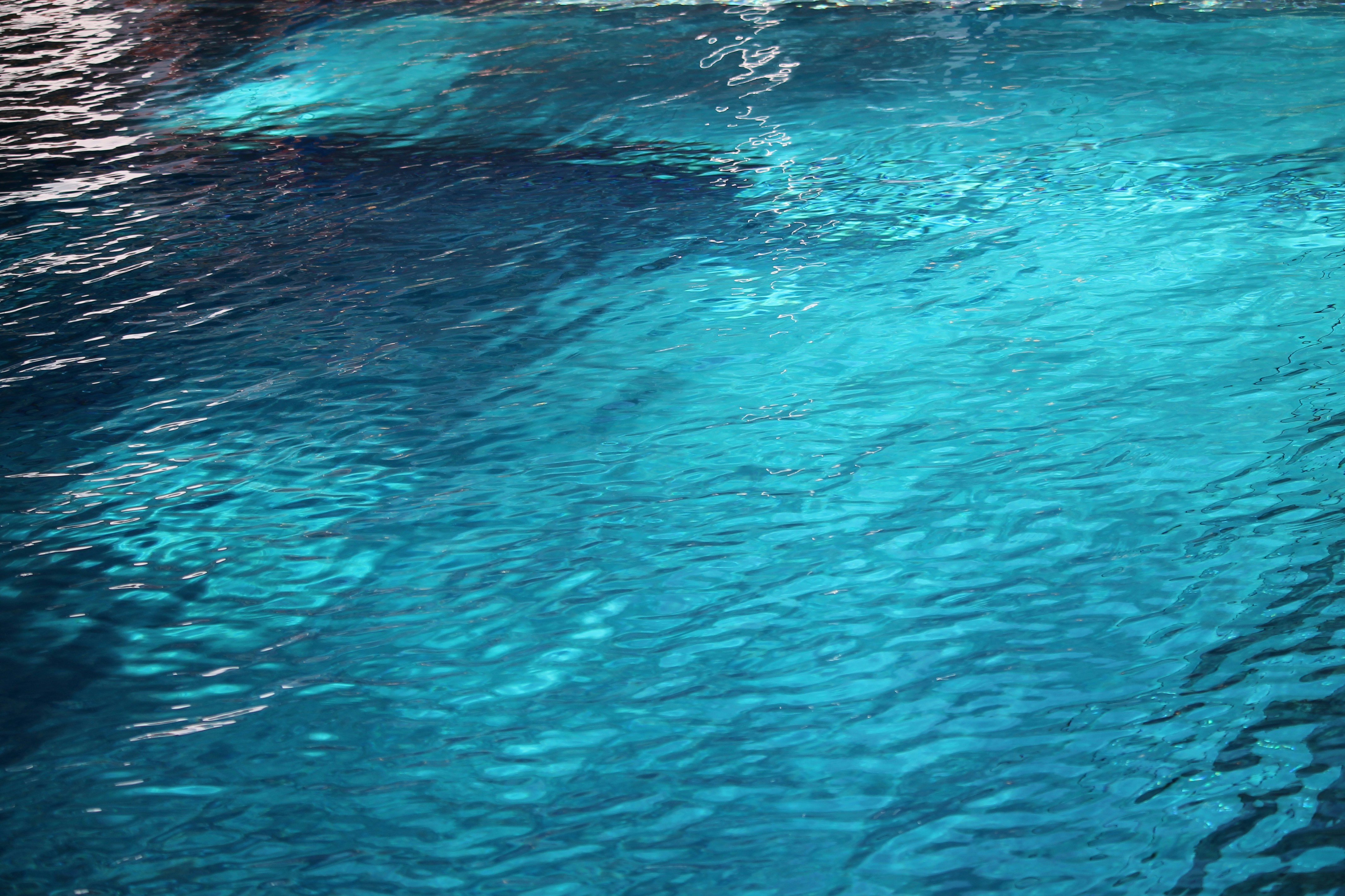 Photo by orfeudesantateresa