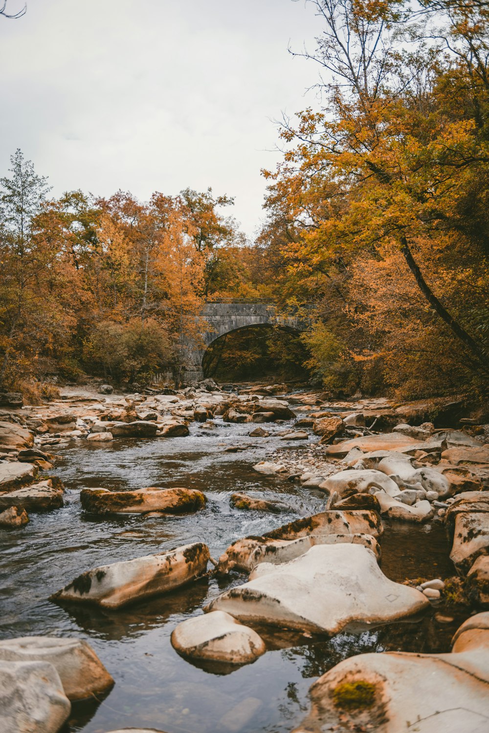 stones on water stream