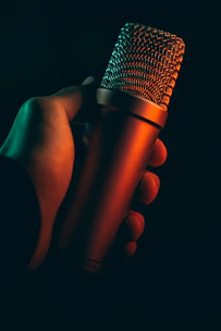 gray microphone