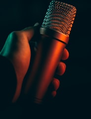 gray microphone