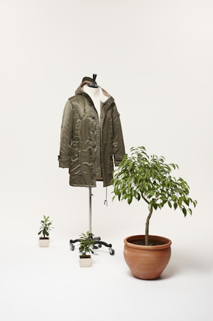 An olive green parka is displayed on a mannequin stand, accompanied by three potted plants of varying sizes. The largest plant is in a terracotta pot, while the smaller plants are in white pots. The background is a plain light color.