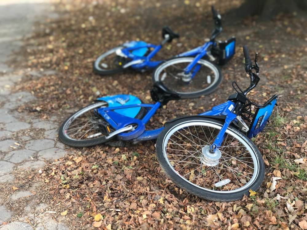 two blue bikes