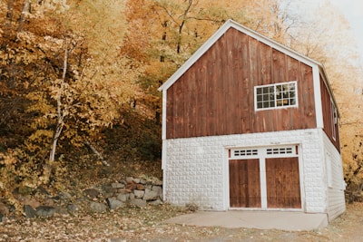 A rustic barn surrounded by apple trees ready for harvest.