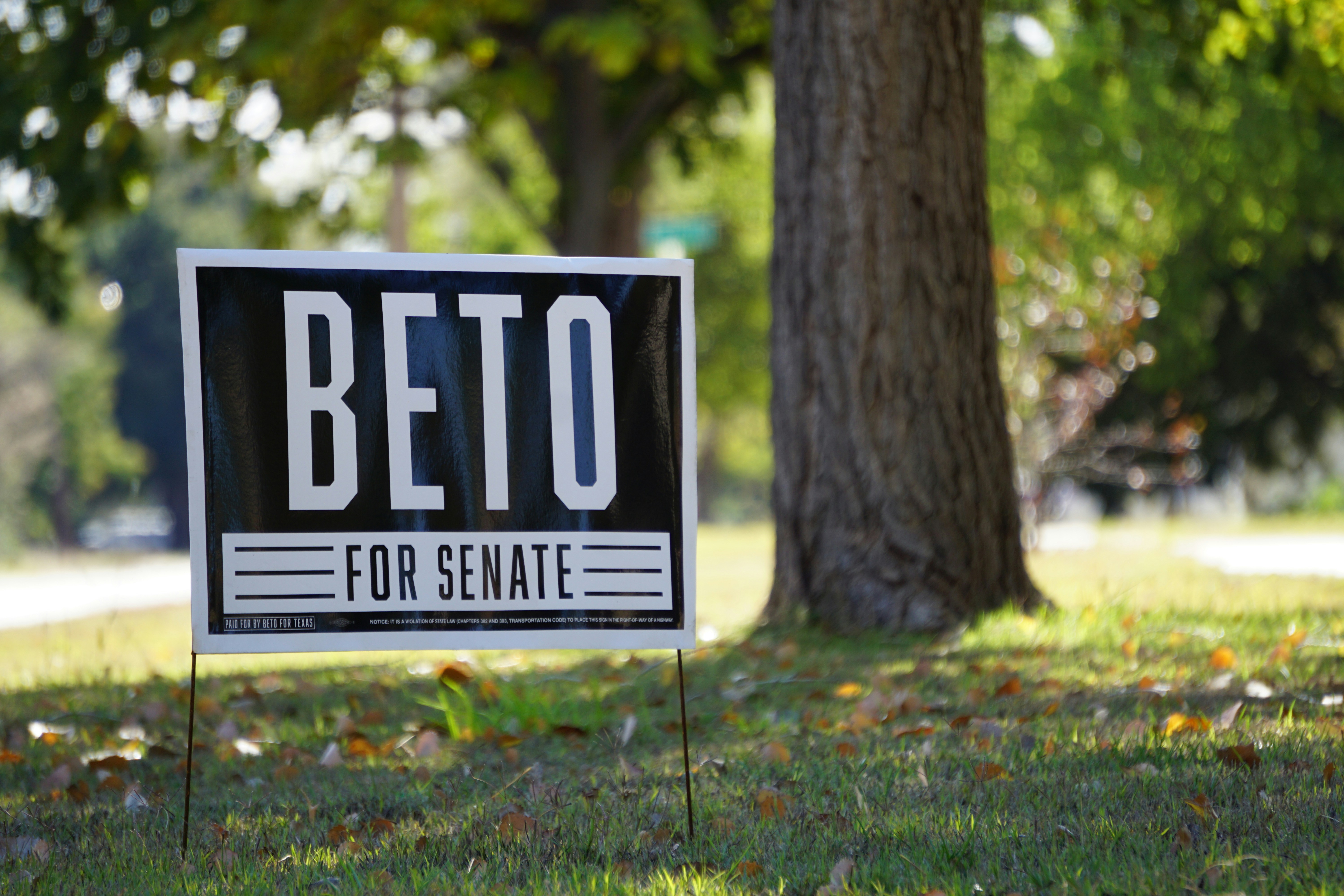 Plainfield Adopts Campaign Sign Rules, Requiring 14-Day Removal