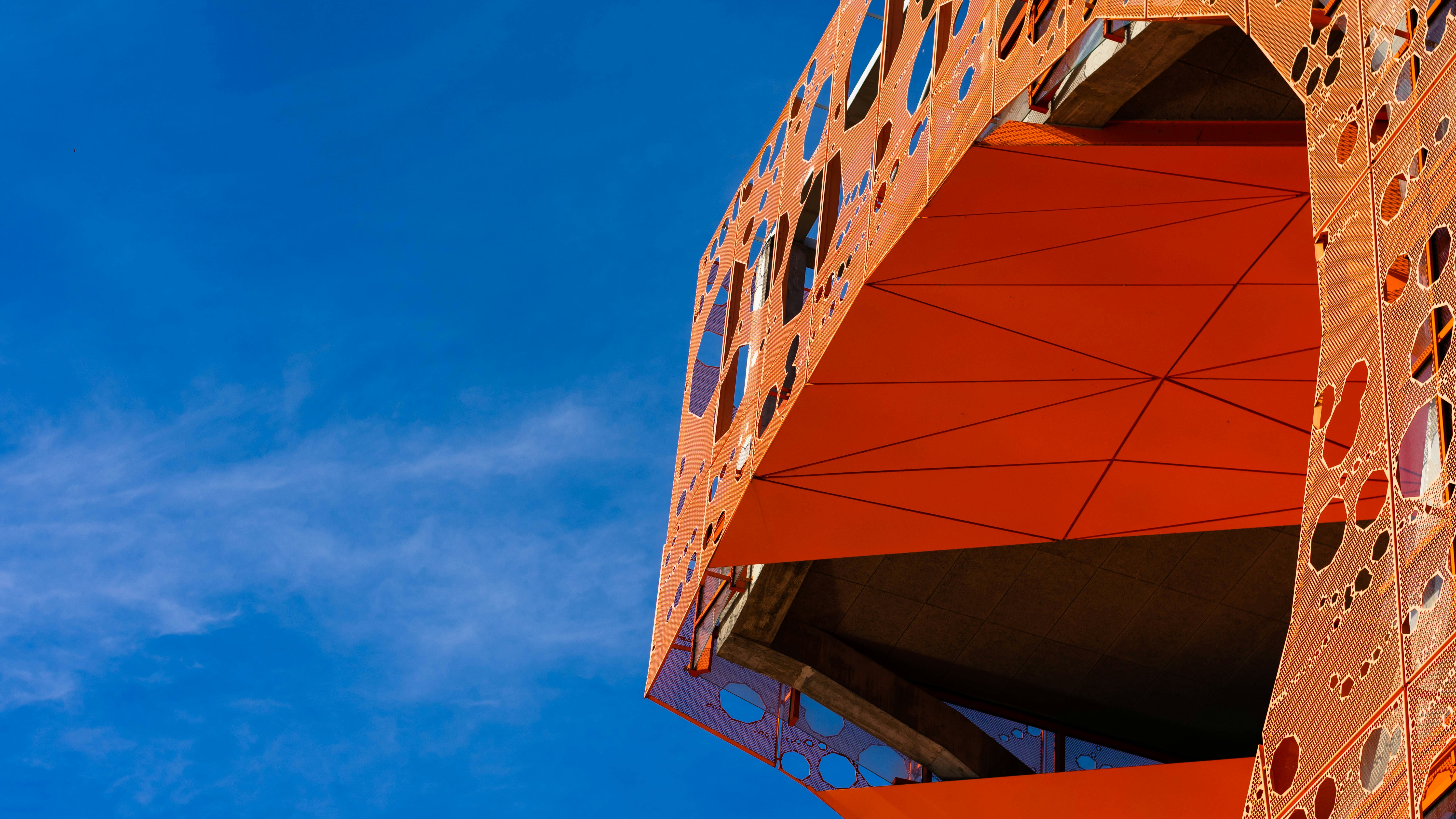 Photo by bosco_shots