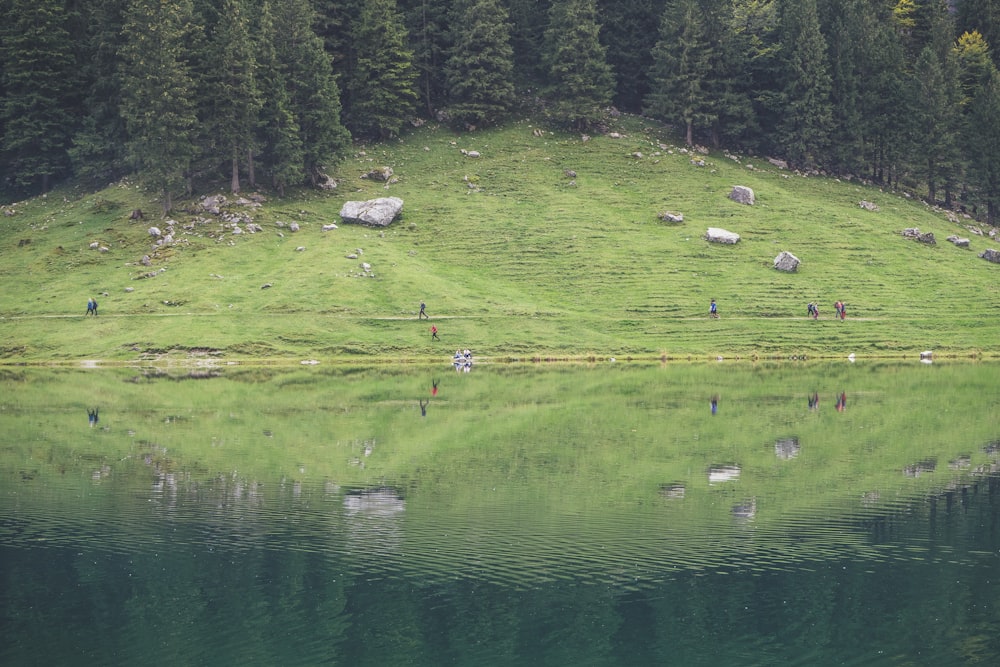 people standing beside body of water