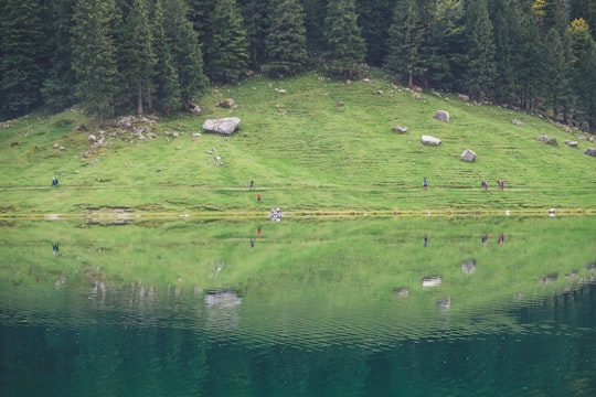 people standing beside body of water in Seealpsee Switzerland