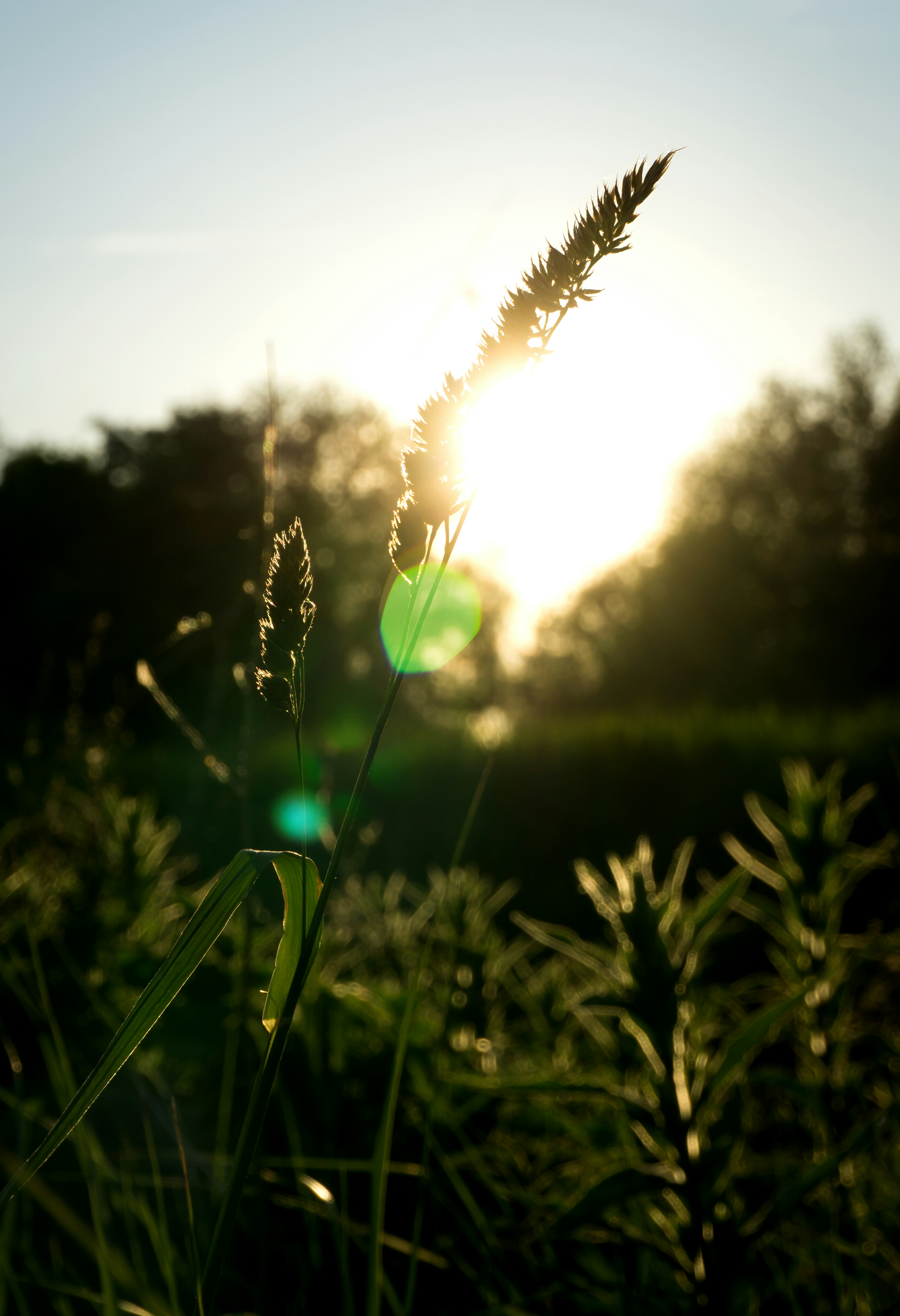 Photo by deuspix