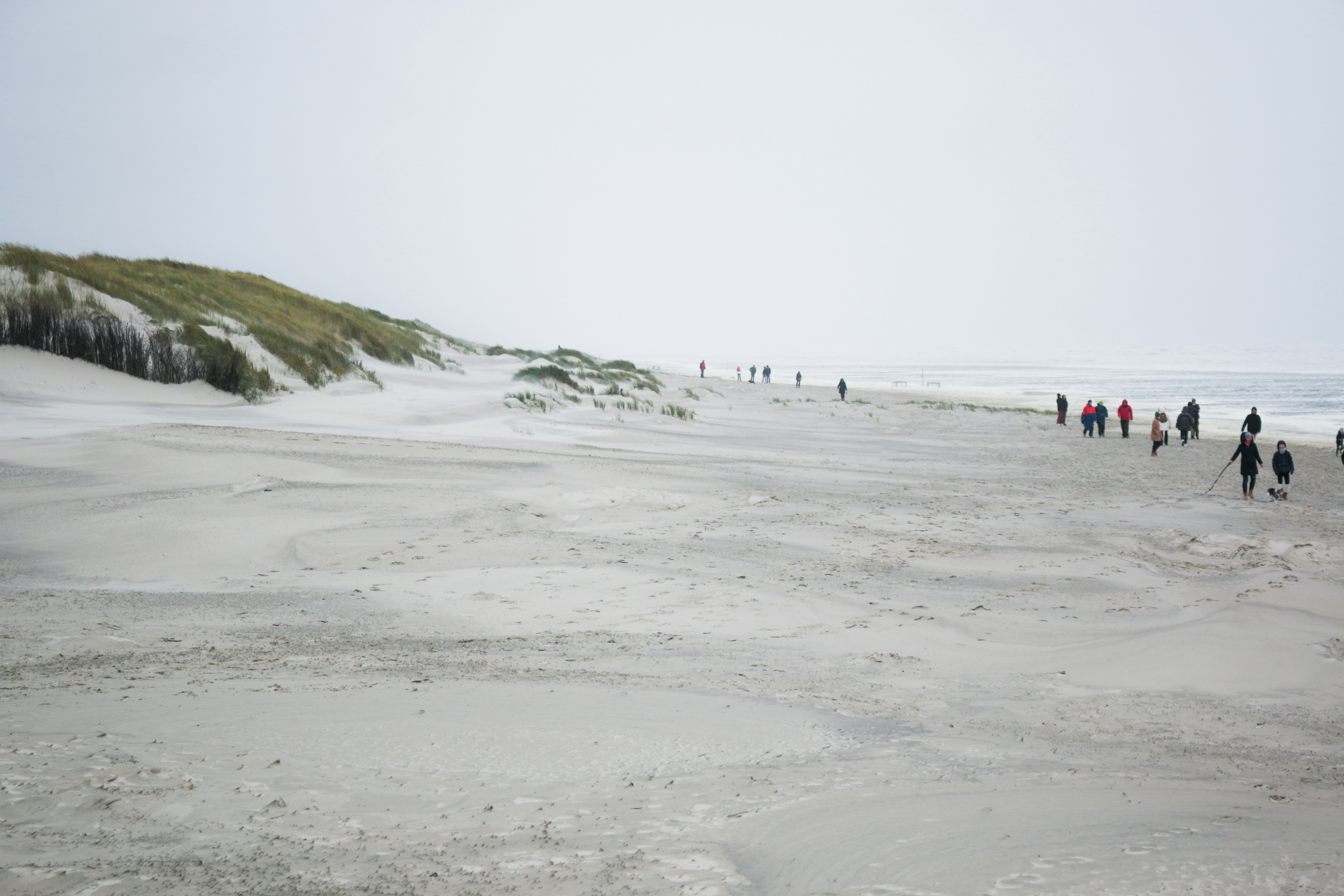 Холодные моря. Cold beach. Cold beach. Cold beach. Станция морская холодно.