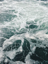 body of water